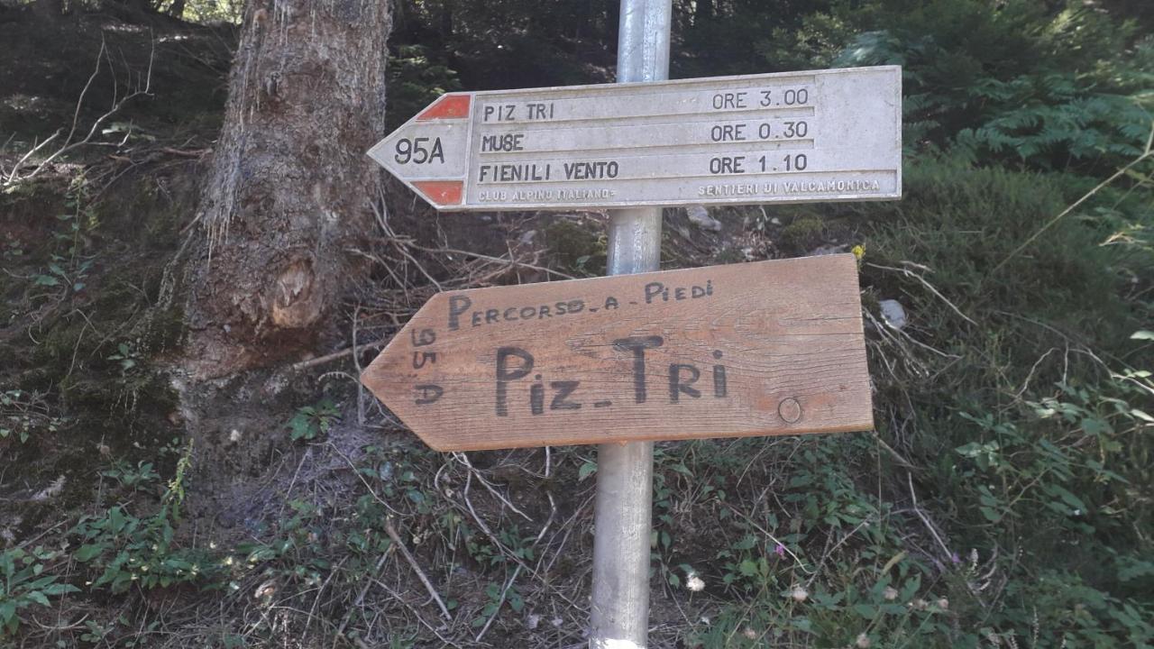 Casa Vacanza Pineta Malonno 外观 照片